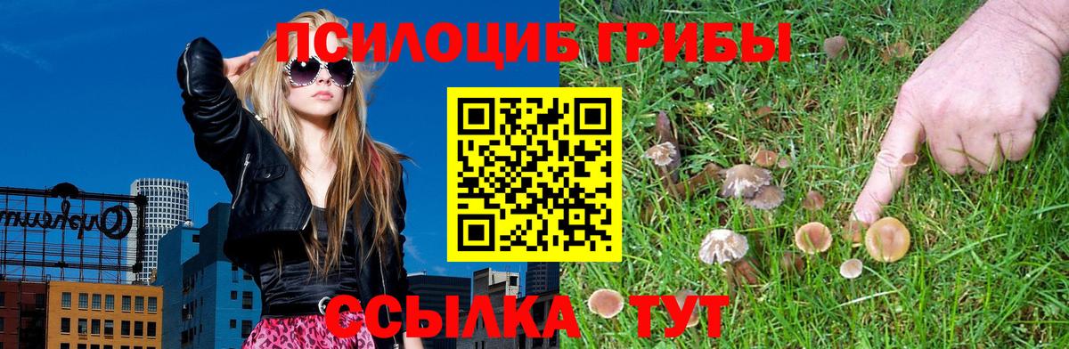 Галлюциногенные грибы мухоморы  Псилоцибиновые грибы ЛСД  Вход с VPN  Урюпинск 